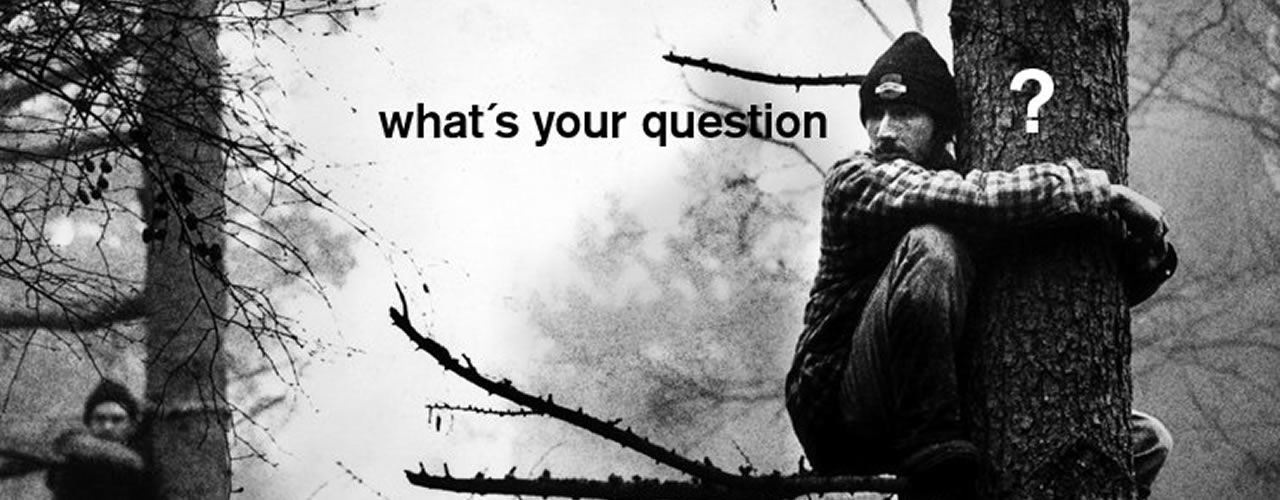 <p>Write your post here... a new test</p>